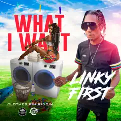 What I Want (feat. Linky First) - Single by Synthdicate Music album reviews, ratings, credits