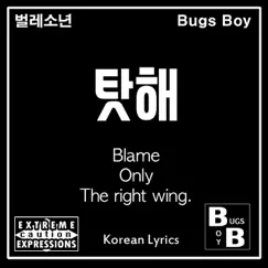 Blame Only the Right Wing. Song Lyrics