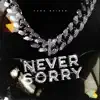 Never Sorry - Single album lyrics, reviews, download