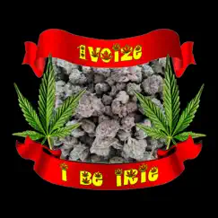 I Be Irie - Single by 1voize album reviews, ratings, credits