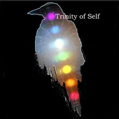 Trinity of Self (feat. Alfredo Moyano, Murphy Murzello, GabroJazz, Benja Ramirez & Jesse Breakspear) - Single by MzAySes album reviews, ratings, credits
