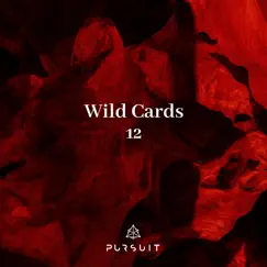 Wild Cards 12 by Jickow, Bruno Longhitano, Cyantist, Darcy Stephens & Kellar album reviews, ratings, credits