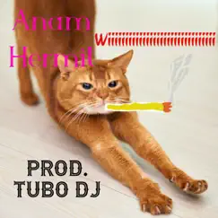 Wiiiiiiiiiiiiiiiiiiiiii (feat. Anam Hermit) - Single by Tubo dj album reviews, ratings, credits