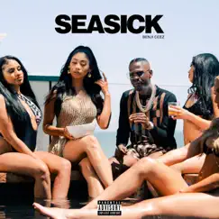 Seasick - Single by Benji Ceez album reviews, ratings, credits