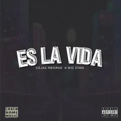 Es la vida (feat. Big Stan) - Single by Cejaz Negraz album reviews, ratings, credits