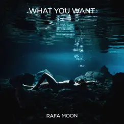 What You Want - Single by RAFA MOON album reviews, ratings, credits