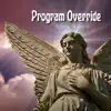 Program Override (Rising Phoenix) - Single album lyrics, reviews, download