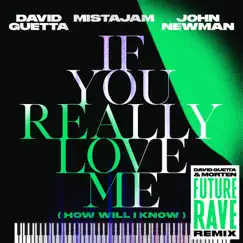 If You Really Love Me (How Will I Know) [David Guetta & MORTEN Future Rave Remix] - Single by David Guetta, MistaJam & John Newman album reviews, ratings, credits
