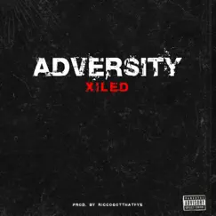 Adversity - Single by Xiled album reviews, ratings, credits