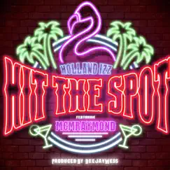 Hit the Spot (feat. MCM Raymond) [Radio Edit] [Radio Edit] - Single by Holland Izz album reviews, ratings, credits