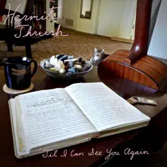 Til I Can See You Again - Single by Hermit Thrush album reviews, ratings, credits