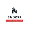 Big Gossip - Single album lyrics, reviews, download