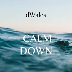 Calm Down - Single by DWales album reviews, ratings, credits