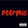 Boom (feat. TxTooley) - Single album lyrics, reviews, download