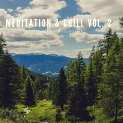 Meditation & Chill Vol.2 by Music for Deep Relaxation Meditation, Meditation Sounds & Meditation Music album reviews, ratings, credits