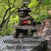 Smitterson's Specific Messaging - Single album lyrics, reviews, download