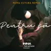 Pentru Ca (feat. The Motans) [Nema Cutura Remix] - Single album lyrics, reviews, download