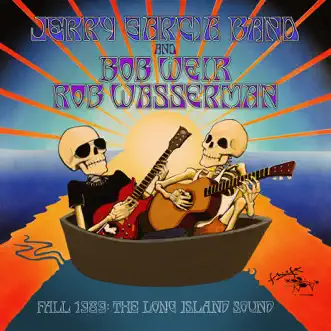 Download City Girls (Live) Bob Weir & Rob Wasserman MP3