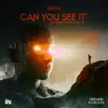 Can You See It (Cappa Regime Remix) - Single album lyrics, reviews, download