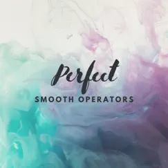 Perfect - Single by Smooth Operators album reviews, ratings, credits
