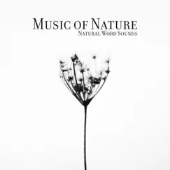 Music of Nature, Natural Word Sounds (Meditation and Rest in the Wild) by Zen Natural Sounds album reviews, ratings, credits