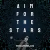 Aim For the Stars (feat. KingEF) - Single album lyrics, reviews, download