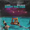 Enjoy the Vibe - Single album lyrics, reviews, download