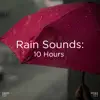 Rain Sounds to Meditate song lyrics