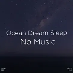 Peaceful Ocean Song Lyrics