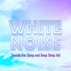 White Noise Fan Song Lyrics