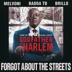 Forgot About the Streets (feat. Melvoni, Badda TD & Brillo) Song Lyrics