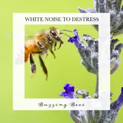 Buzzing Bees: White Noise to Destress by Carl Brooks album reviews, ratings, credits