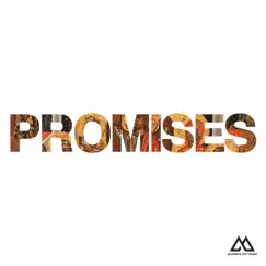 Promises (Radio Version) Song Lyrics