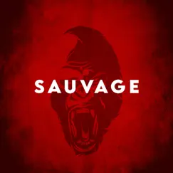 Sauvage - Single by MacMuzik album reviews, ratings, credits