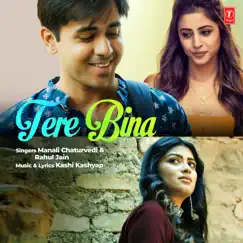 Tere Bina - Single by Manali Chaturvedi & Rahul Jain album reviews, ratings, credits