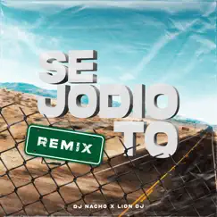 Sejodioto (Remix) - Single by Lion DJ & Dj Nacho album reviews, ratings, credits