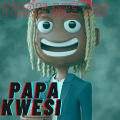Turn Me On - Single by Papa Kwesi album reviews, ratings, credits