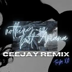 Nothing On But Ariana (CEEJAY REMIX) - Single by Taylor Xo album reviews, ratings, credits