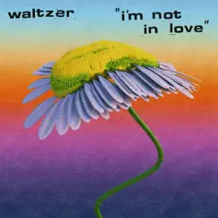 I'm Not in Love - Single by Waltzer album reviews, ratings, credits