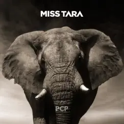Pcp - Single by Miss Tara album reviews, ratings, credits