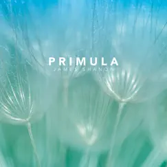 Primula - Single by James Shanon album reviews, ratings, credits