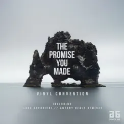The Promise You Made (Luca Guerrieri Remix Edit) Song Lyrics