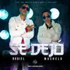 Rodiel-Se Dejo (feat. Mashelo) - Single album lyrics, reviews, download