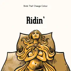 Ridin' - Single by Birds That Change Colour album reviews, ratings, credits
