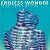 Endless Wonder (feat. 'IVA) [Acoustic] [Acoustic] - Single album lyrics, reviews, download