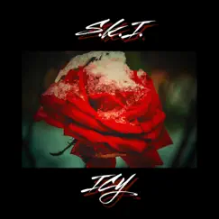 Icy - Single by S.K.I. album reviews, ratings, credits