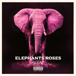 Eléphants Roses Song Lyrics