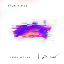 I Can't Wait (KØBU Remix) - Single by True Tides album reviews, ratings, credits