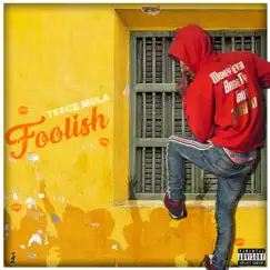 Foolish - Single by Teece Mula album reviews, ratings, credits