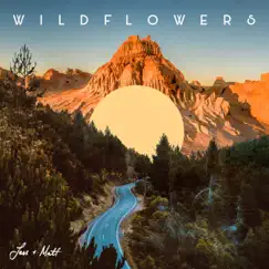 Wildflowers Song Lyrics